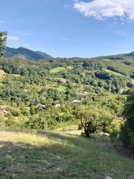 Metes, jud. Alba ocazie, 70000 mp, munte,